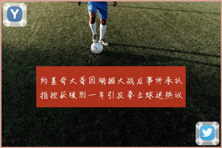 约基奇大哥因湖掘大战后事件承认指控获缓刑一年引发拳击球迷热议