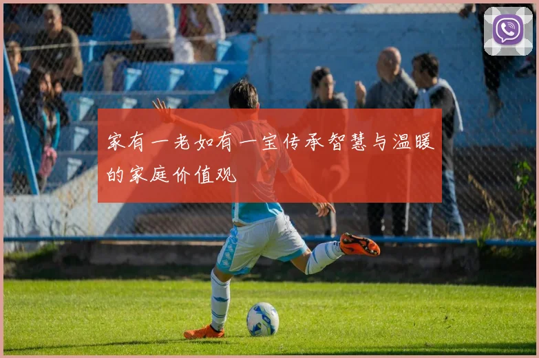 家有一老如有一宝传承智慧与温暖的家庭价值观