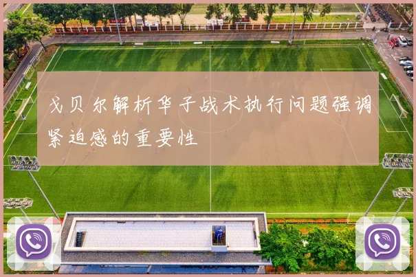 戈贝尔解析华子战术执行问题强调紧迫感的重要性